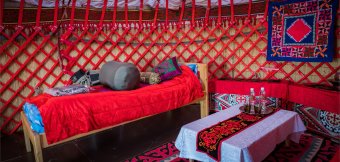 Standard yurt - twin/sinlge: Photo 1